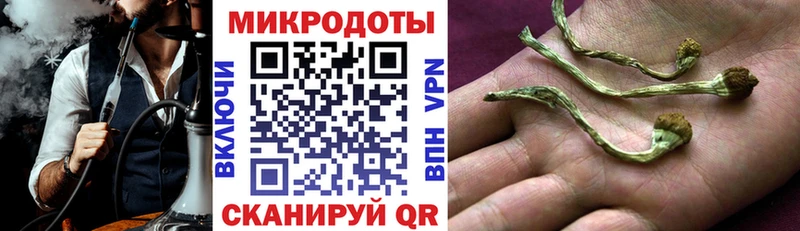 Галлюциногенные грибы мухоморы Нерюнгри